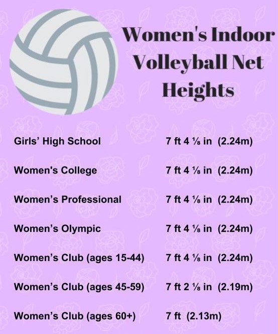 Women's Volleyball Net Height