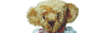 Teddy Bears and More